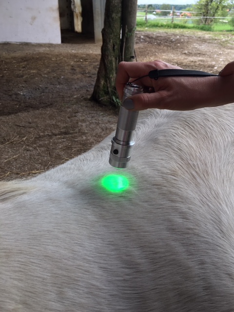 Farblichttherapie