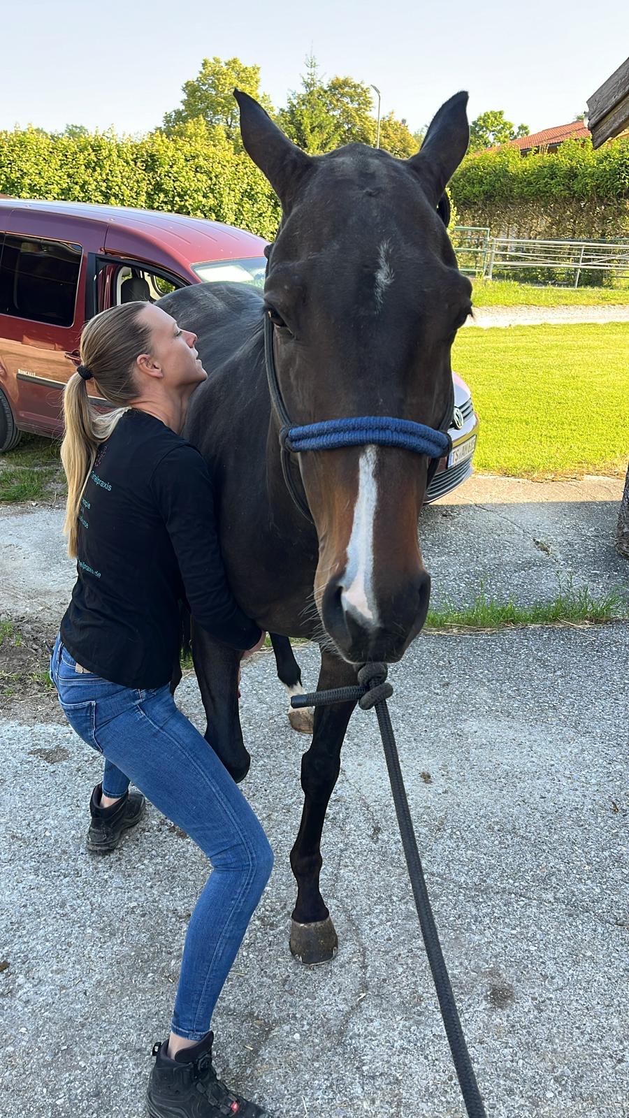 Marion bei der Physiotherapie am Pferd
